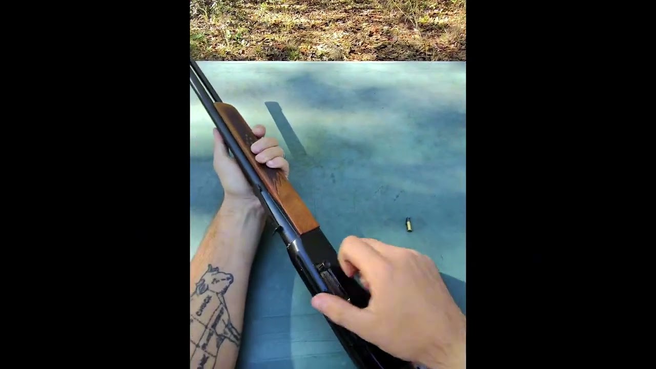 Winchester Model 190 .22lr,L table View And shooting 