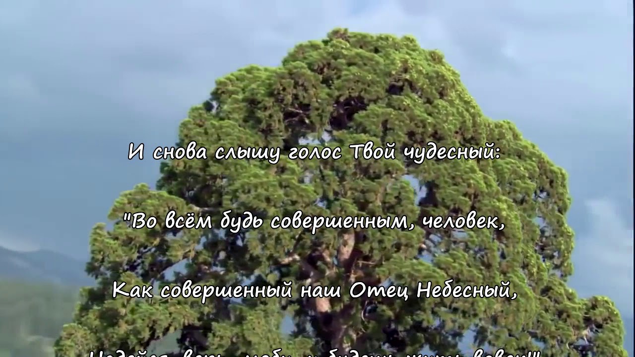 Тебя люблю мой Бог