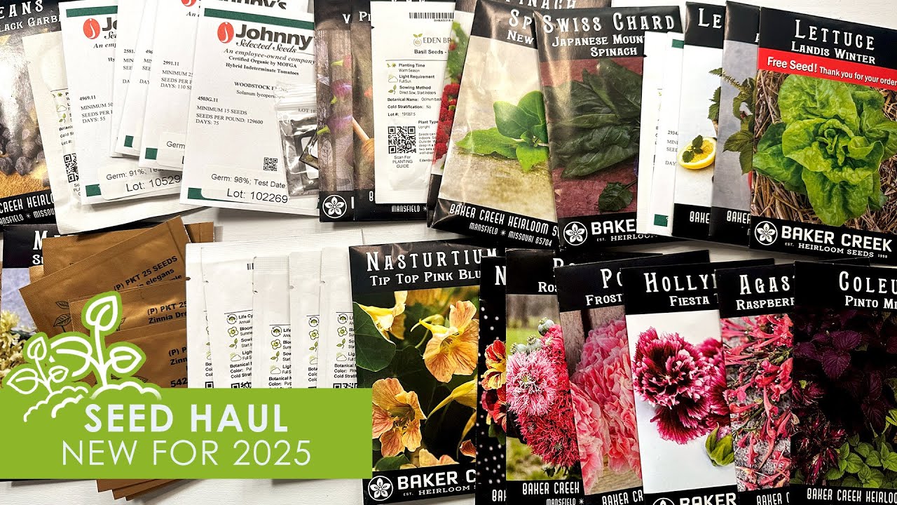 Seed Haul, New for 2025