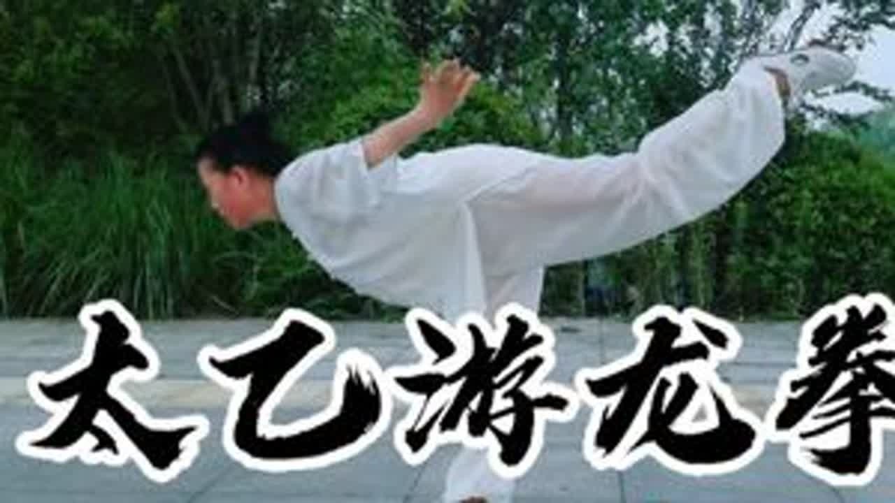 武当太乙游龙拳第二段附拳谱字幕 #一见爱上传统文化 #道家养生 #修身养性 #健康养生 #太极拳