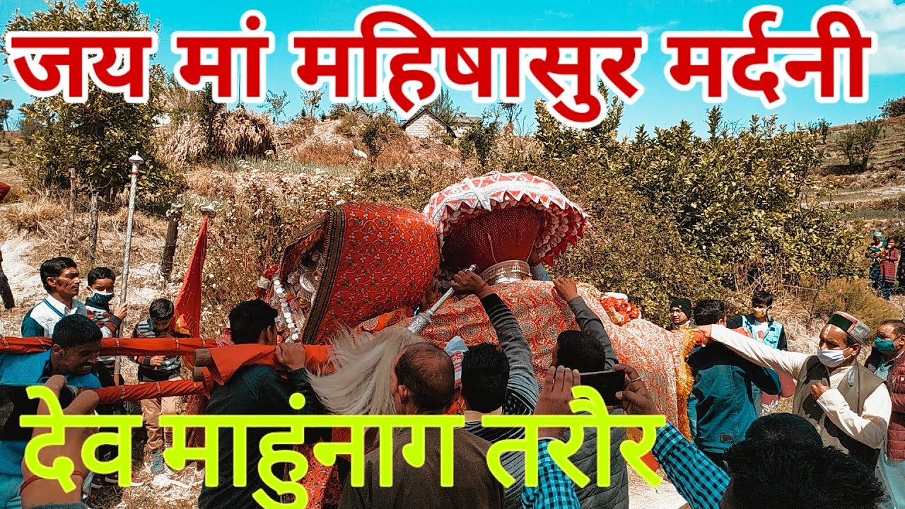 देव माहुंनाग तरौर और मां महिषासुर मर्दनी मिलन || Dev Maahunaag Traur || Mata mahisasur Mardni