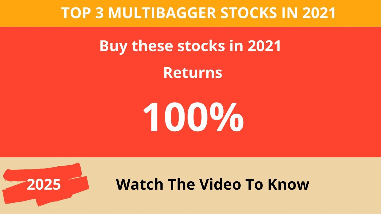 Top 3 Multibagger Stocks to Invest in 2021 for Long-Term Investment | The Indian Wealth