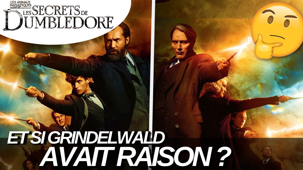 ET SI GRINDELWALD AVAIT RAISON ???