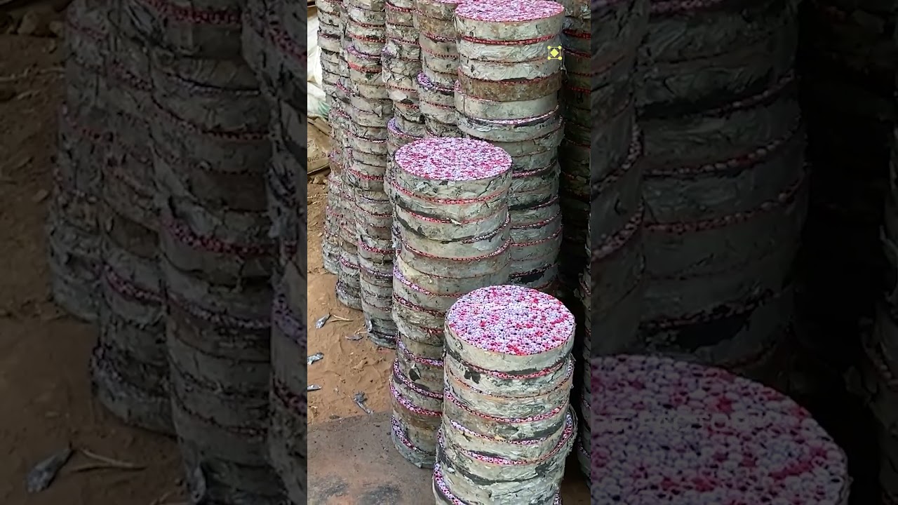 10000 Wala Cracker Making process, Firework Factory #crackersfactory #diwali #crackersshopinsivakasi