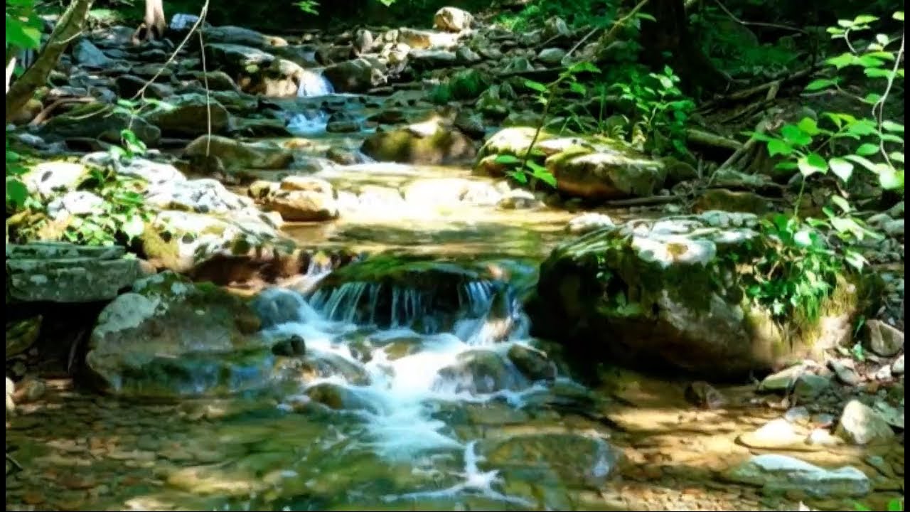 10 Hours of Relax: Let the River Wash Away Your Insomnia Calming Forest Stream & Birds Chirping
