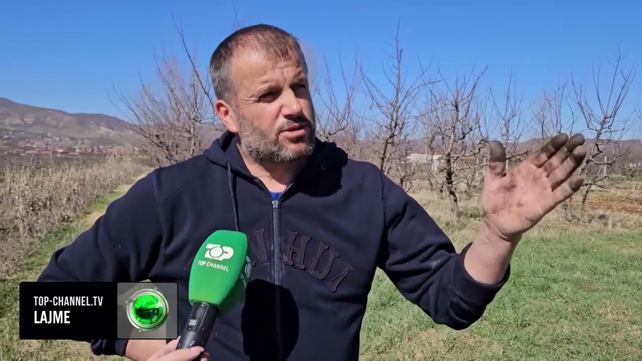 Top Channel/ N&euml; Kor&ccedil;&euml; po i presin moll&euml;t! Historia e fermerit q&euml; mendon rikthimin n&euml; emigracion