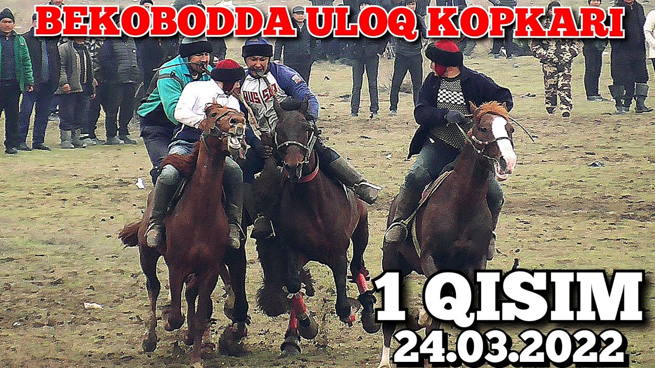24.03.2022 БЕКОБОТДА УЛОК КОПКАРИ 1 КИСИМ.
