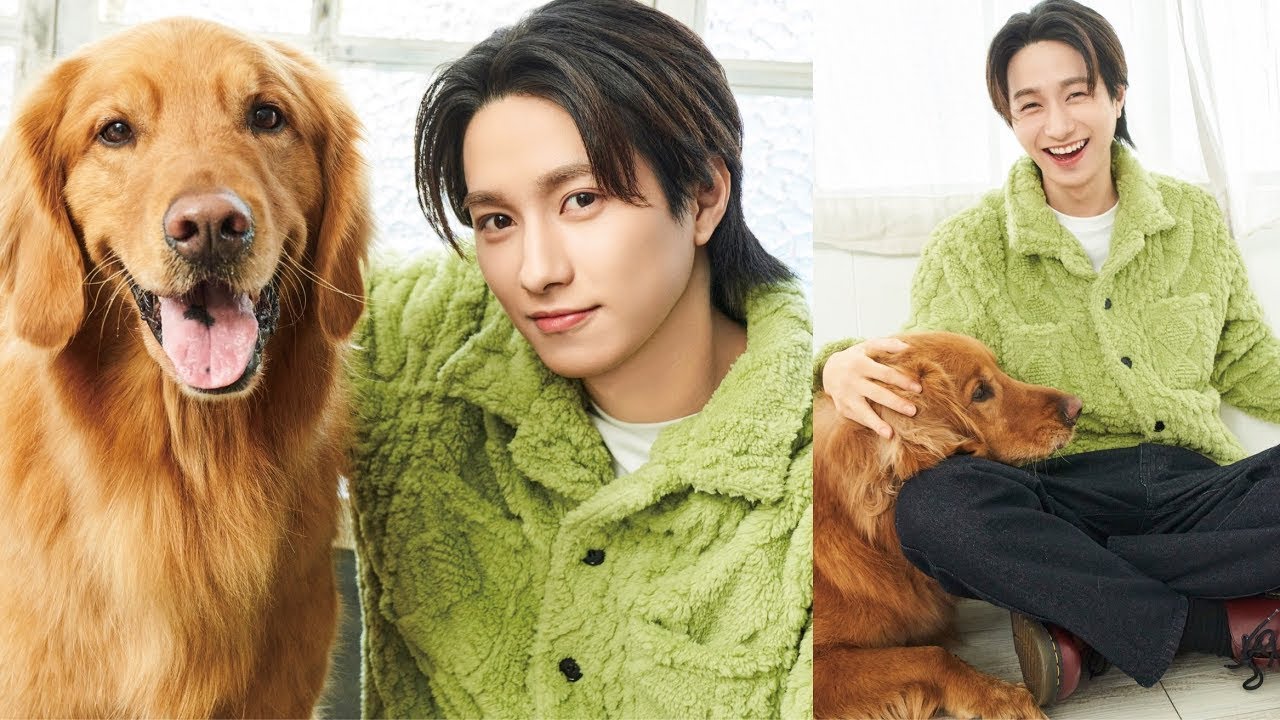 [BUDDiiS] Yuma Nose came to visit us! (Golden Retriever | Monthly Dog Photoshoot Off-Shot)