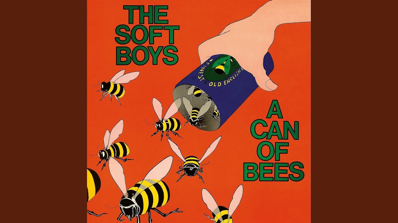 Give It to the Soft Boys