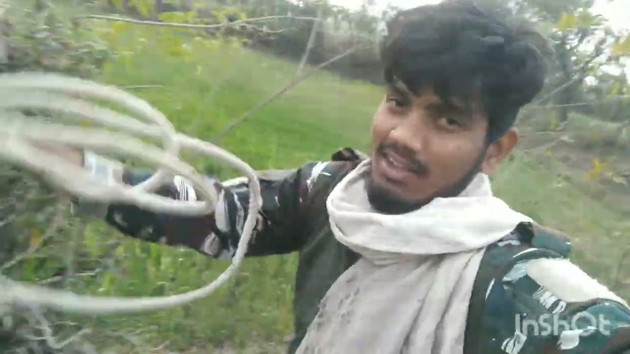 Cow🐄 Bhesh Ke Liye Aaj Sara laya ll Sanju Vlogs 