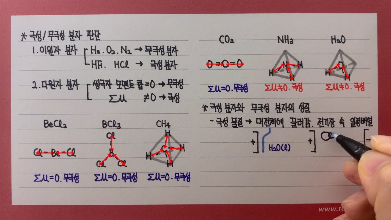 극성 분자와 무극성 분자 구별