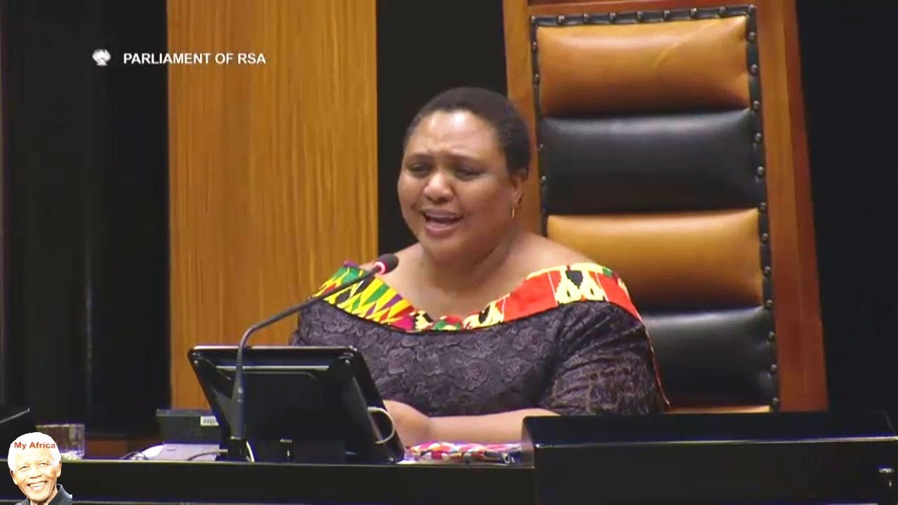 Parliament Chair Thoko Didiza Promise Christmas to MP's