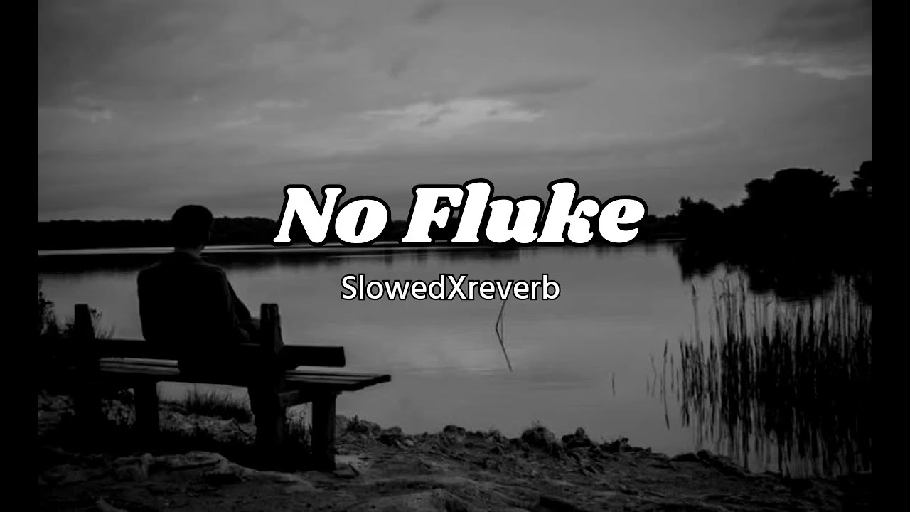 No Fluke || Dhanda Nyoliwala || Slowed Reverb || Lo-fi 