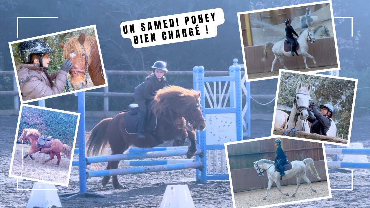 Un samedi poney bien chargé ! 06 12 2026