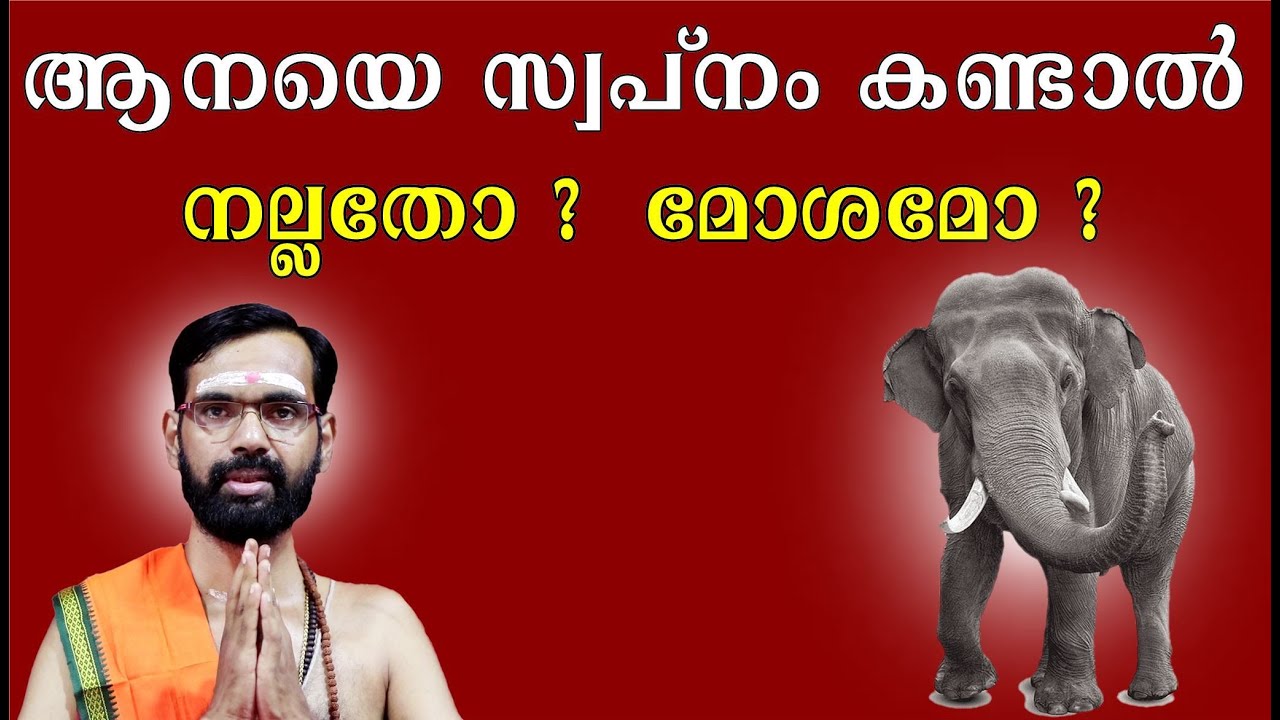 ആനയെ സ്വപ്‌നം കണ്ടാൽ നല്ലതോ ?  മോശമോ ?  Is it good to dream of an elephant? Is it bad? SWAPNA FALAM