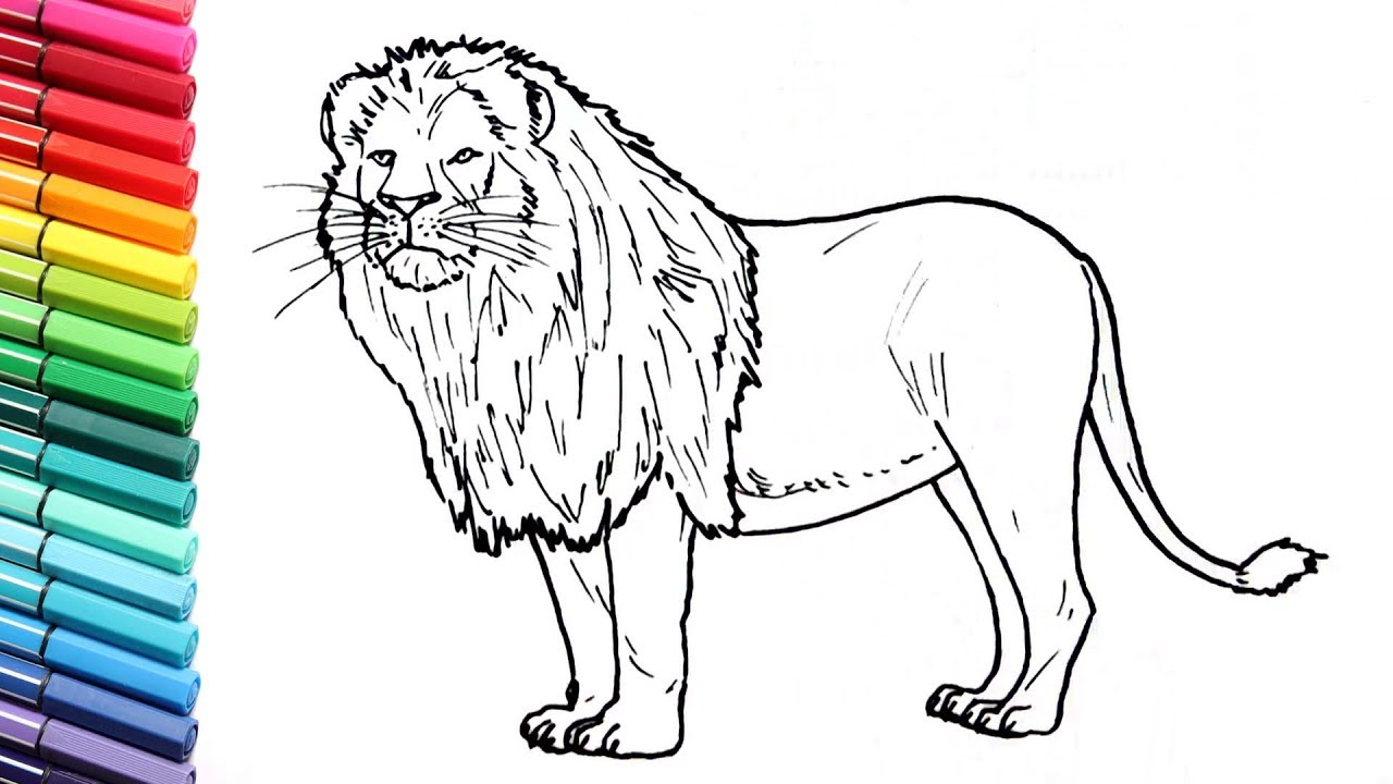 How to Draw a Lion - Learning Wild Animals Color pages for Kids - Learning Colors with Animals