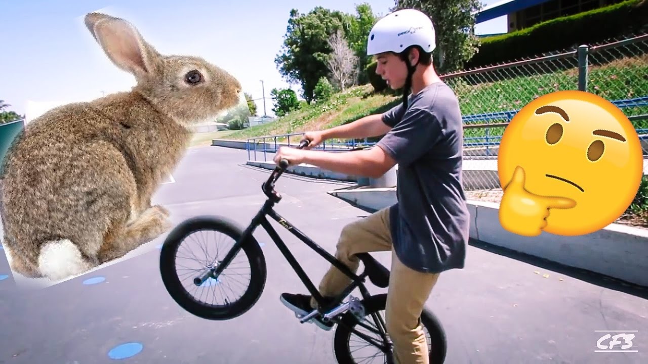 How to bunnyhop BMX