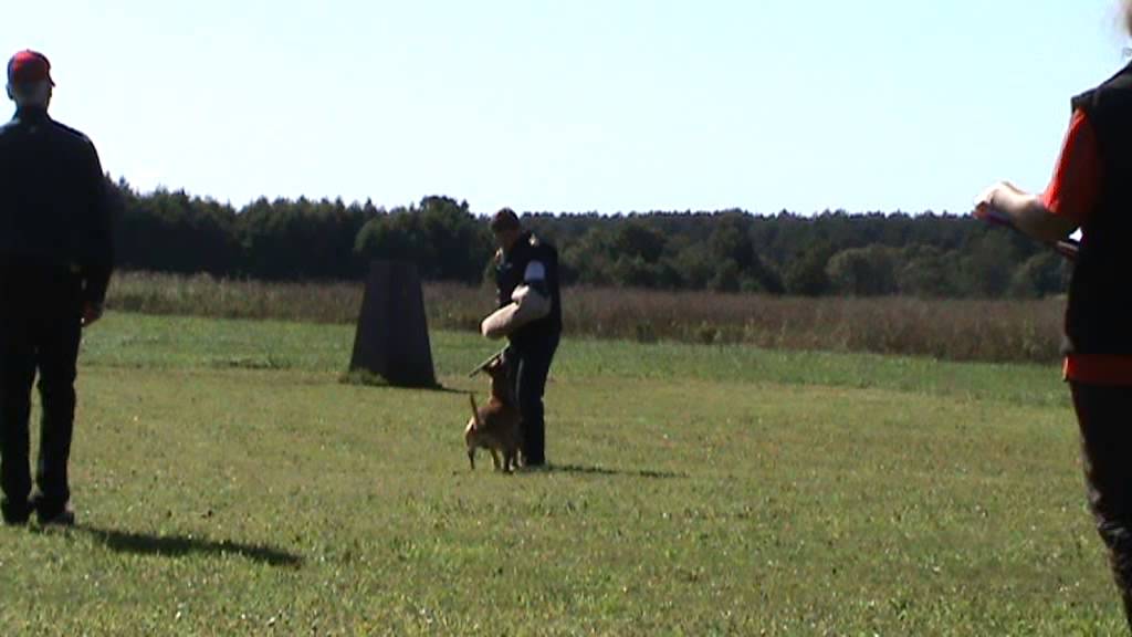 Erika & Adofau Wally IPO1 C83vh