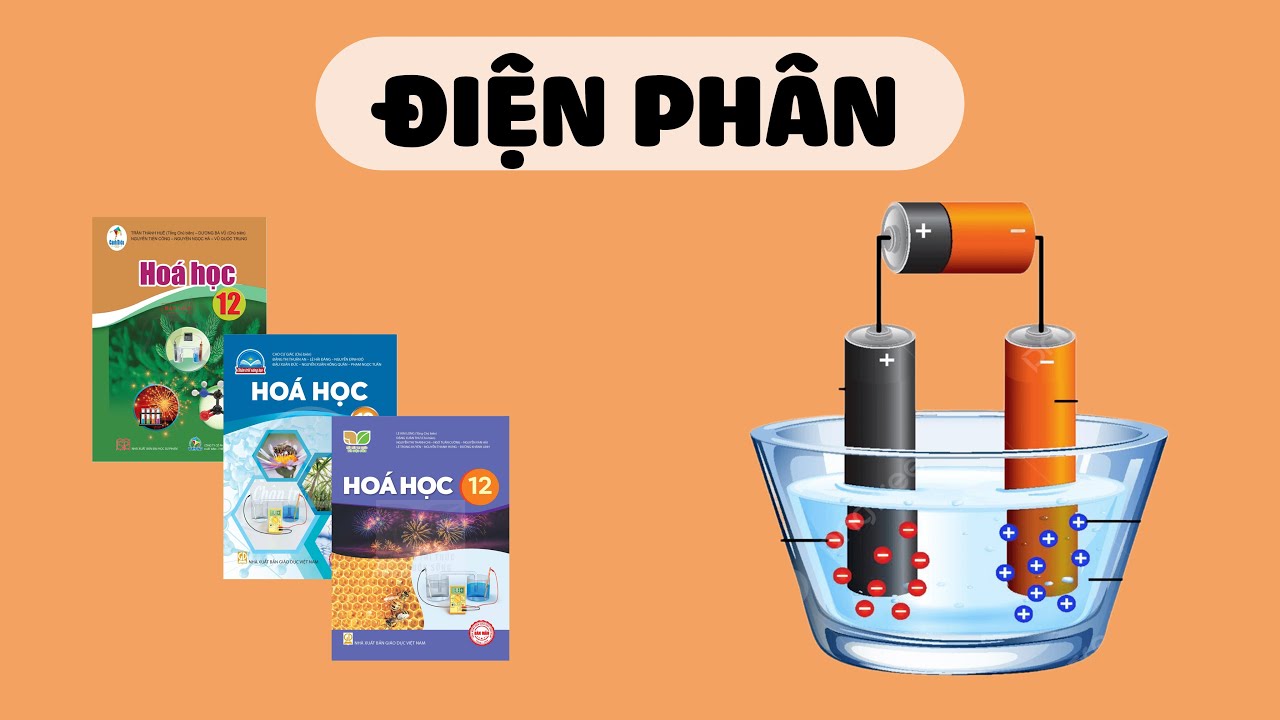 [H&Oacute;A 12] ĐIỆN PH&Acirc;N (S&aacute;ch C&aacute;nh Diều, Ch&acirc;n Trời S&aacute;ng Tạo, Kết Nối Tri Thức)