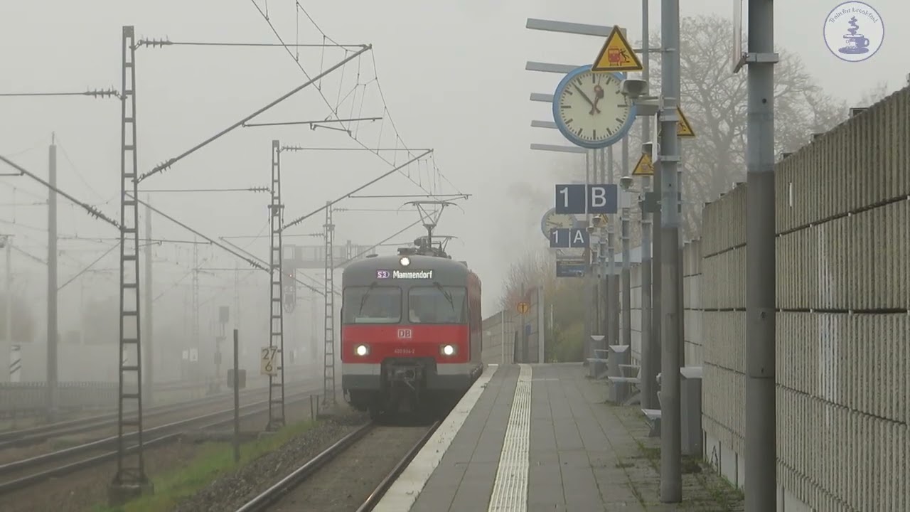 Train For Breakfast #334 - BR420 934 with S3 in Malching [11.2024]