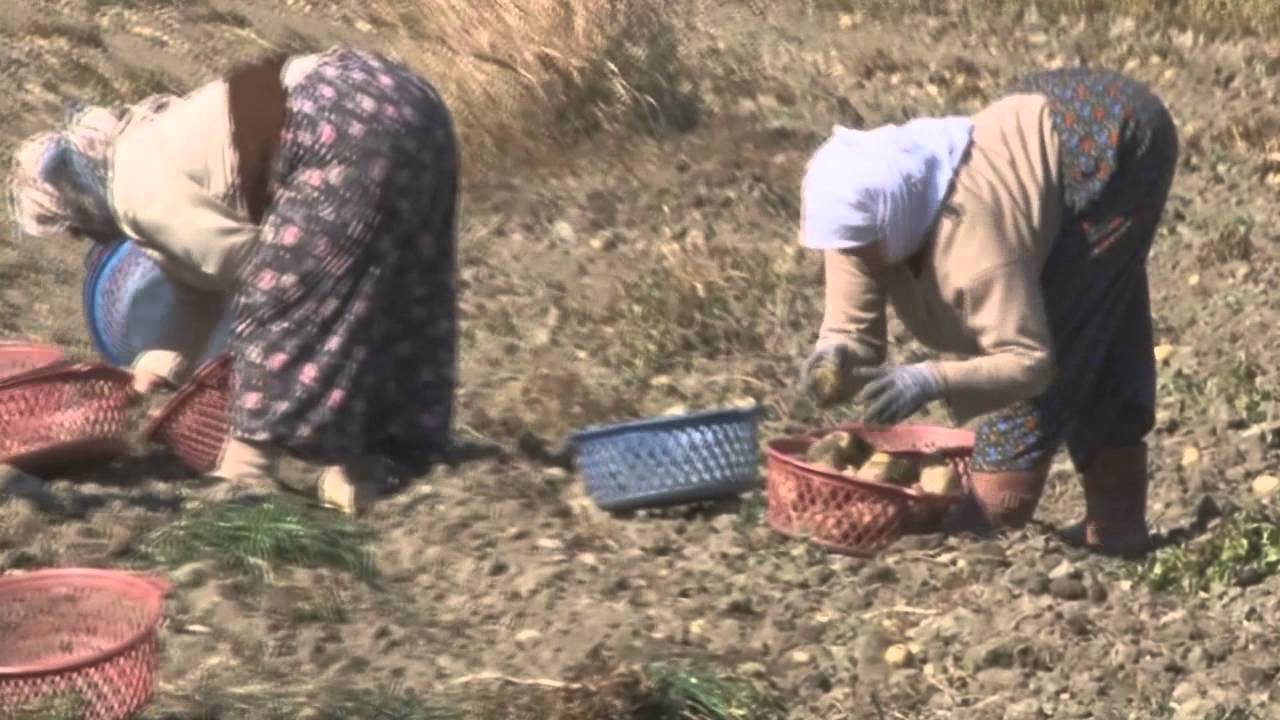 Manisa, Gördes / Kayacık Beldesi Tanıtım Filmi - Türkçe Dublaj
