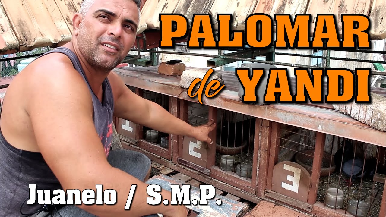 Palomar de Conquista de YANDI en el Juanelo, San Miguel del Padrón.