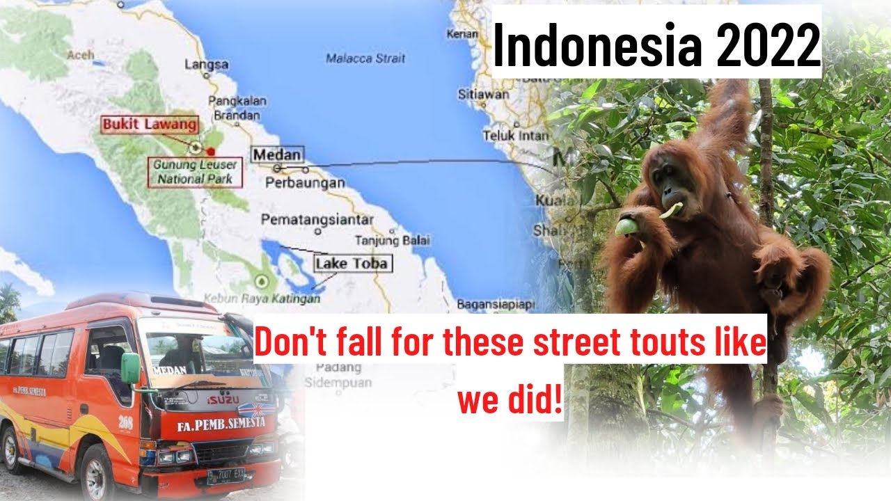 From Medan city & Kualanamu Airport to Bukit Lawang by local bus