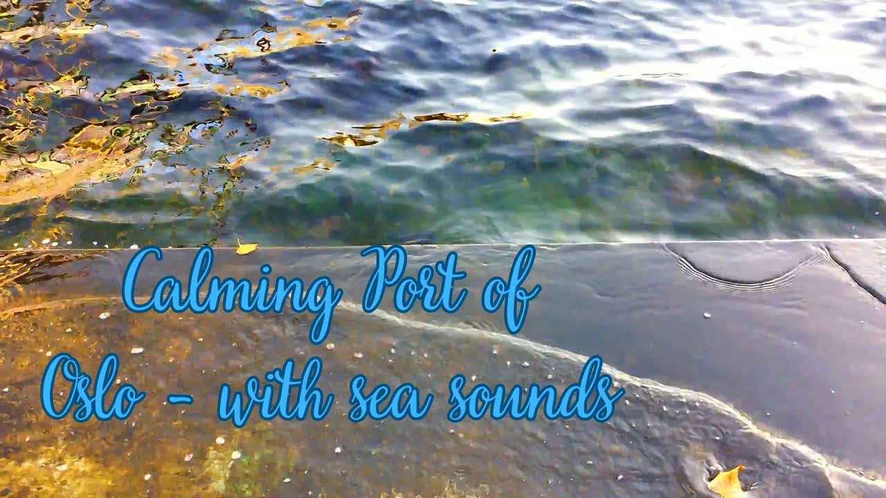 calming port of Oslo with sea sounds