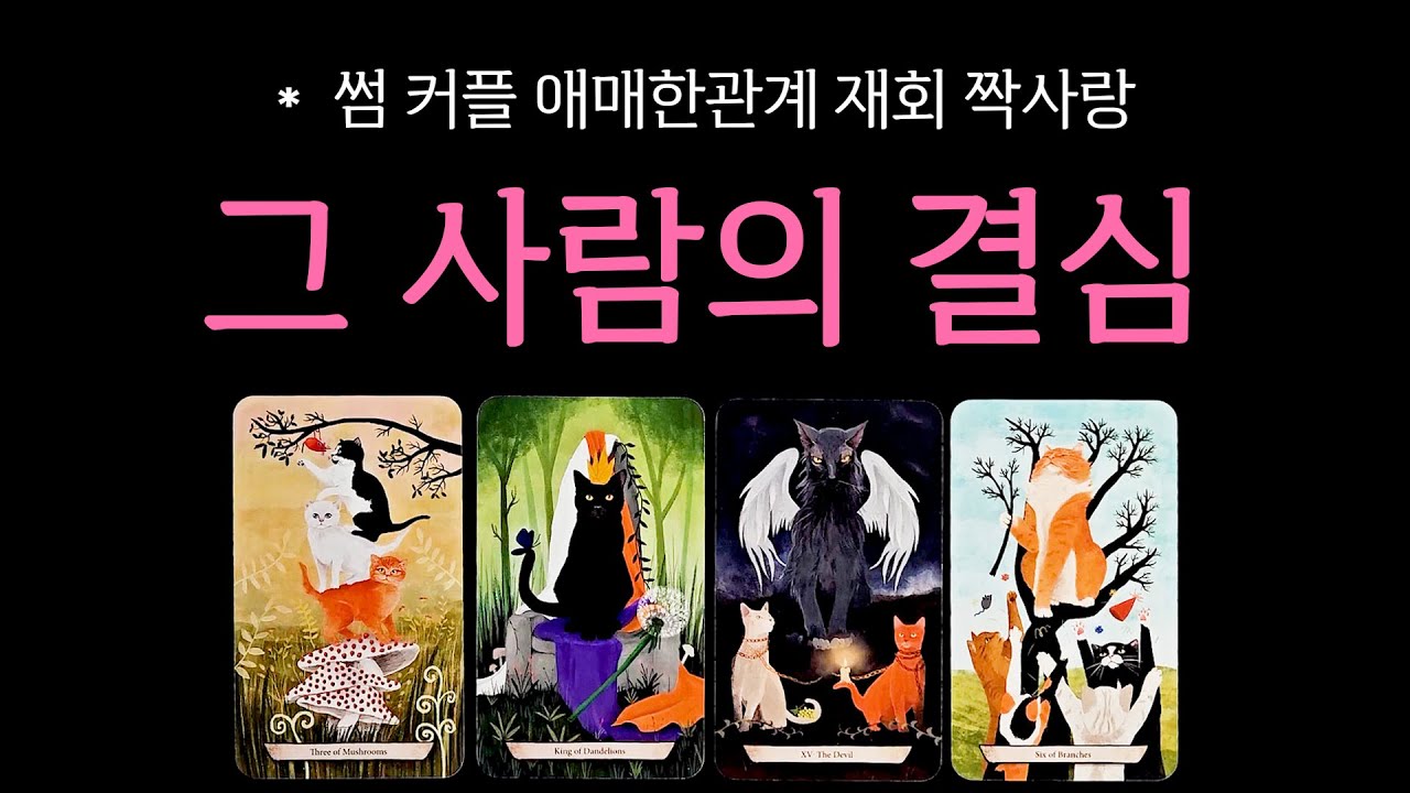 [타로] 그 사람의 결심 (모든 관계 적용 가능)
