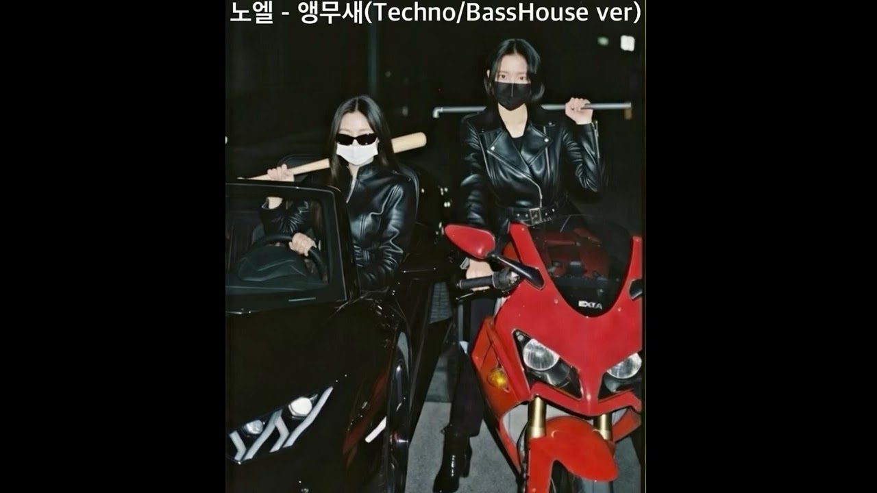 Ai 노엘 - 앵무새(Techno/BassHouse ver)
