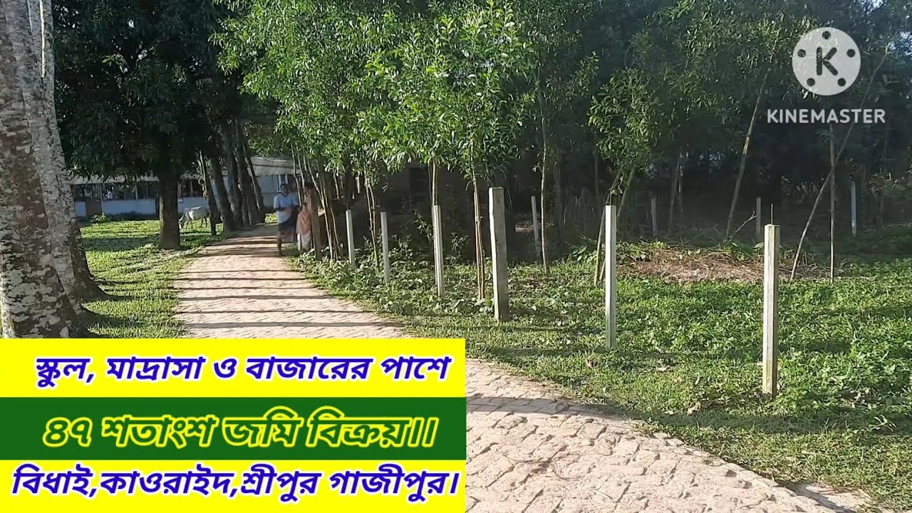 ৪৭ শতাংশ জমি বিক্রয়।। বিধাই বাজার।। কাওরাইদ শ্রীপুর গাজীপুর#asset seller#Land sale Sreepur Gazipur