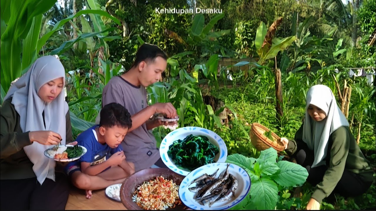 Alhamdulilah Tinggal di Desa Sudah Bisa Makan Enak Cukup Mencari Rumput di Sekitar Kebun Jagung