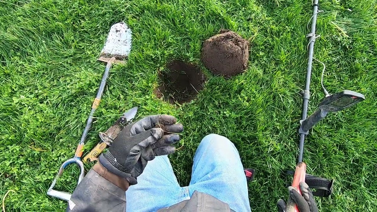 Minelab Manticore and XP Deus 2 HF2 in new spot.