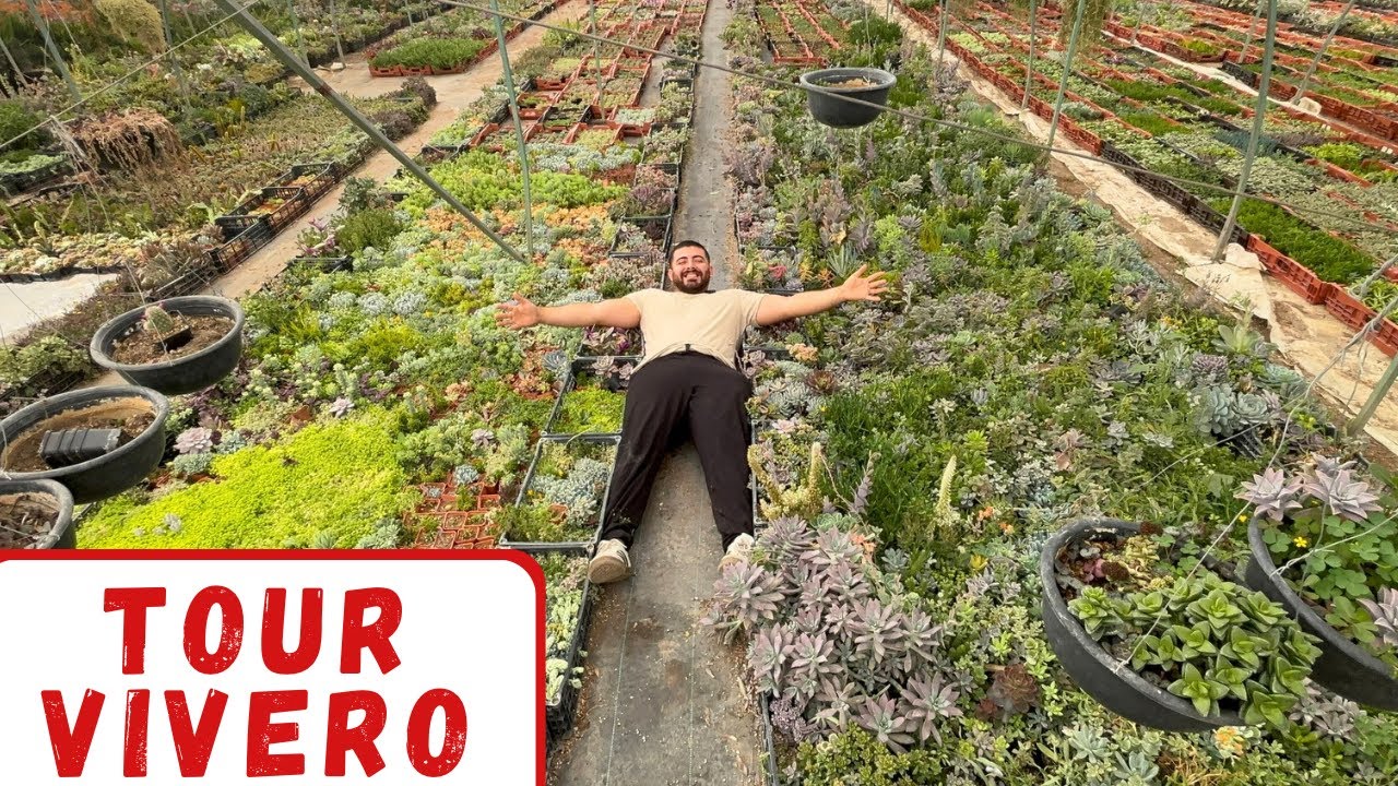 Tour VIVERO de suculentas más grande que conocemos 