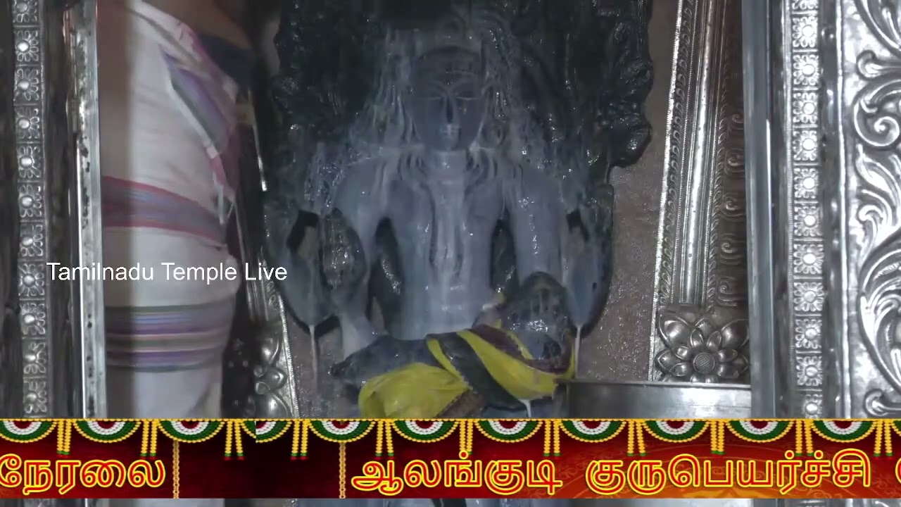 Gurupeyarchi Alangudi Guru Temple live
