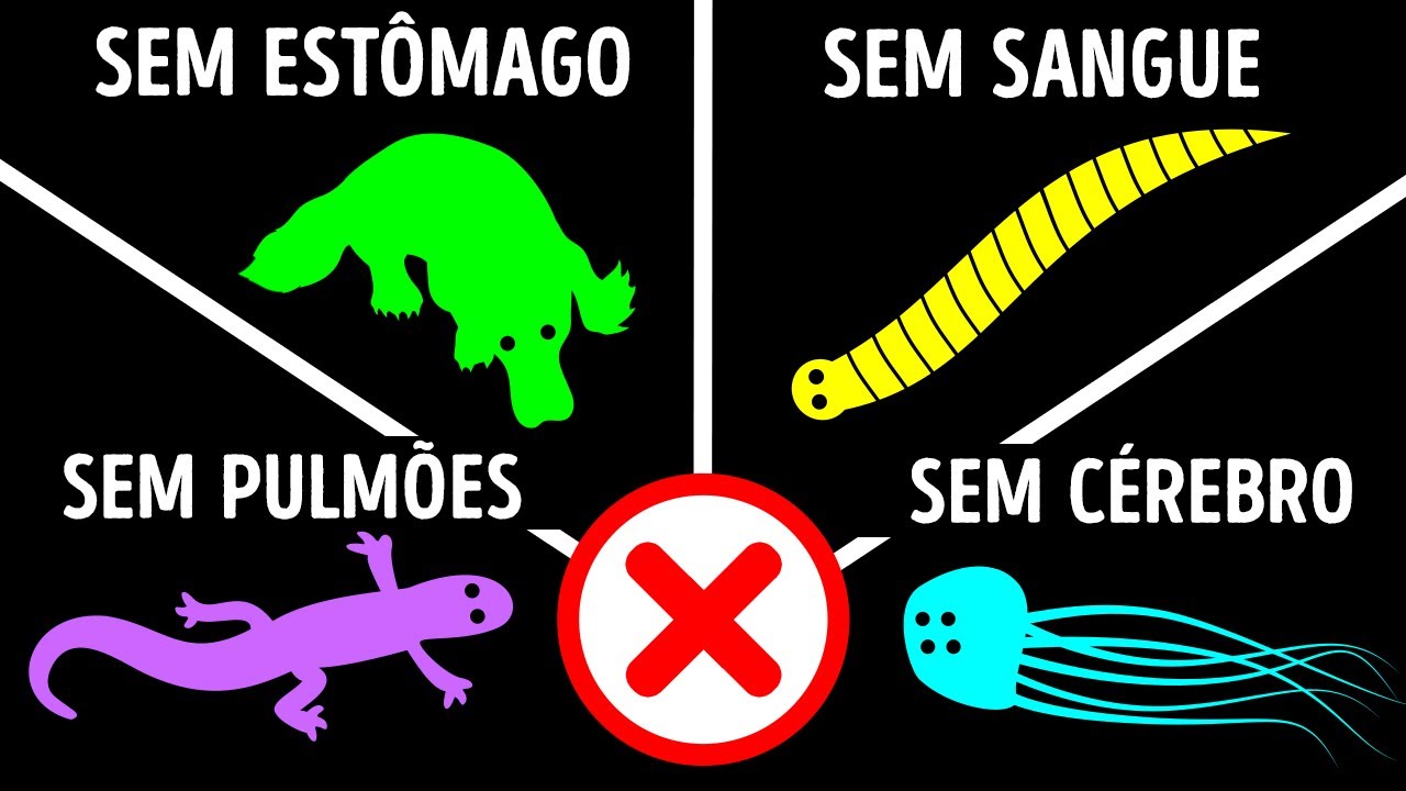 50 Fatos Sobre Animais que Você Nunca Ouviu Falar Antes
