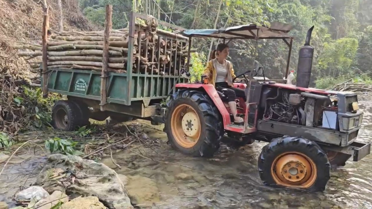 The girl driving the agricultural machine transporting firewood.