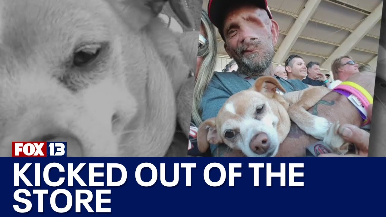 Man kicked out of store over service dogs | FOX 13 Seattle