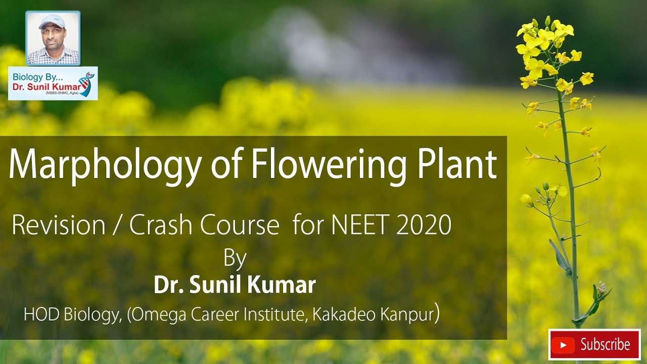 Morphology of Flowering Plants ,Dr. Sunil Kumar | revision / crash course NEET 2020