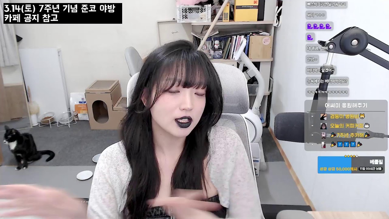 [생방송] PvE🔥5억 갚기 1일차,,,,,,,,,,,