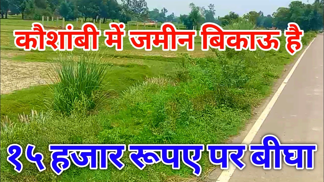 #कौशांबी में ₹15000 पर बीघा #जमीन #बिकाऊ है #Kaushambi mein#sasti_jameen bikau hai