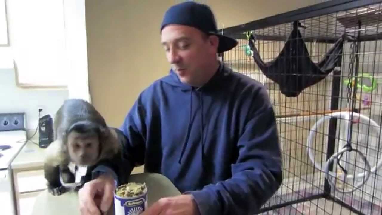 MonkeyChow Challenge!