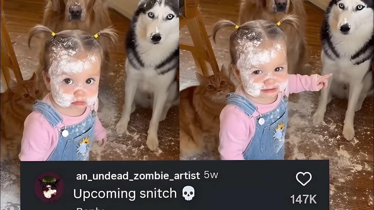 Wrong Audience = Cooked 🤣 Instagram Comments #12