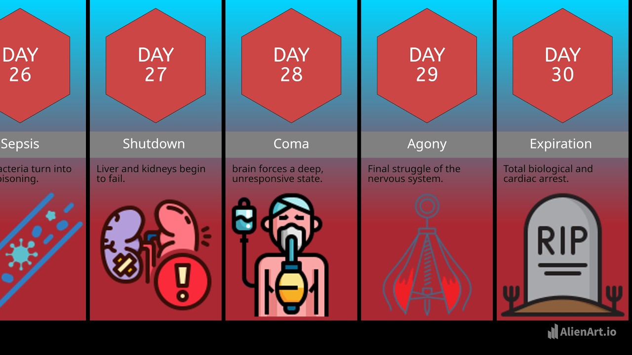 What Does Happen to Your Body Without Sleep For 30 Days