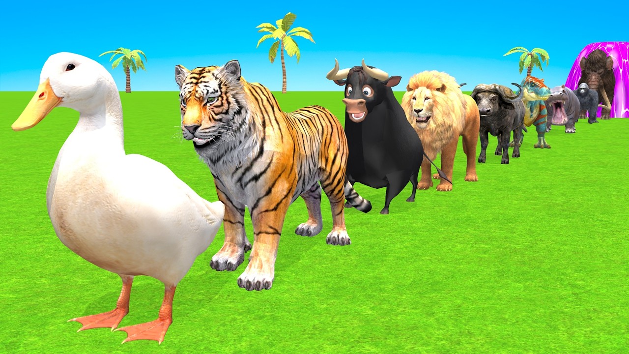 Colorful Long Slide Game With Cow Elephant Gorilla Hippopotamus Tiger 3dAnimal Game Funny 3d Animals