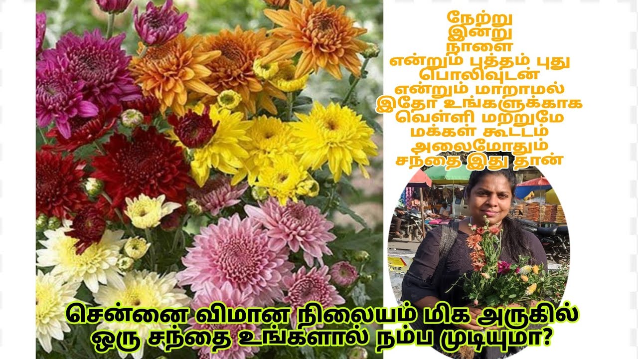 2025 ஆம் வருடம் புதிய வரவுகள் புதிய விலையில் புதிய சந்தை | 