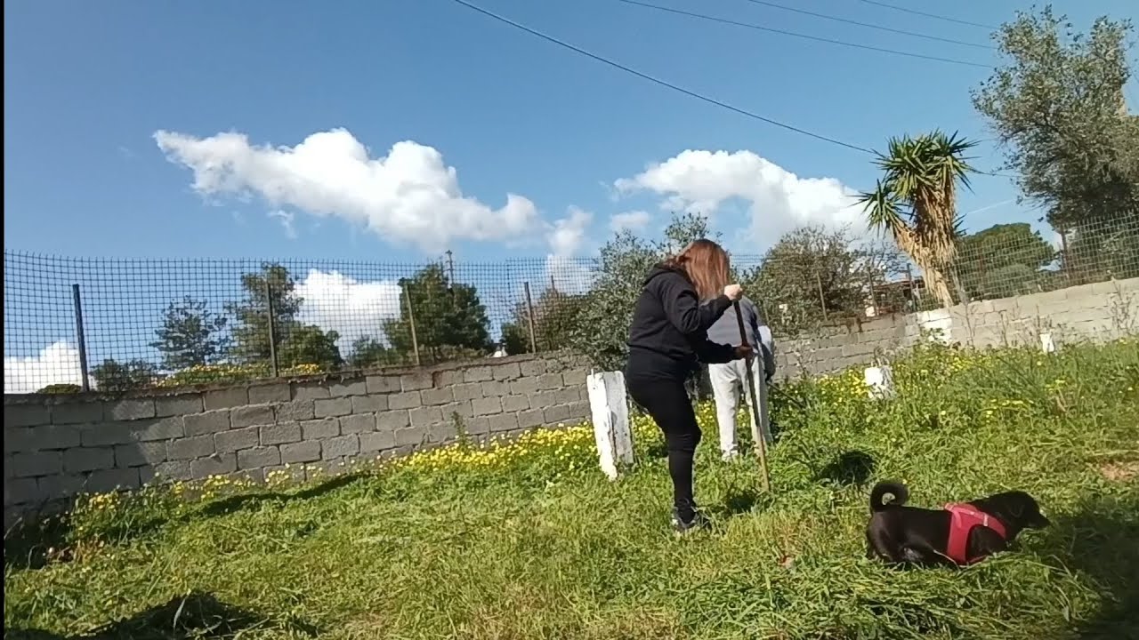 Καθαρίσαμε το Οικόπεδο μας στην Σαλαμίνα + Supermarket Haul + Ψώνια στον Πειραιά! 🌺