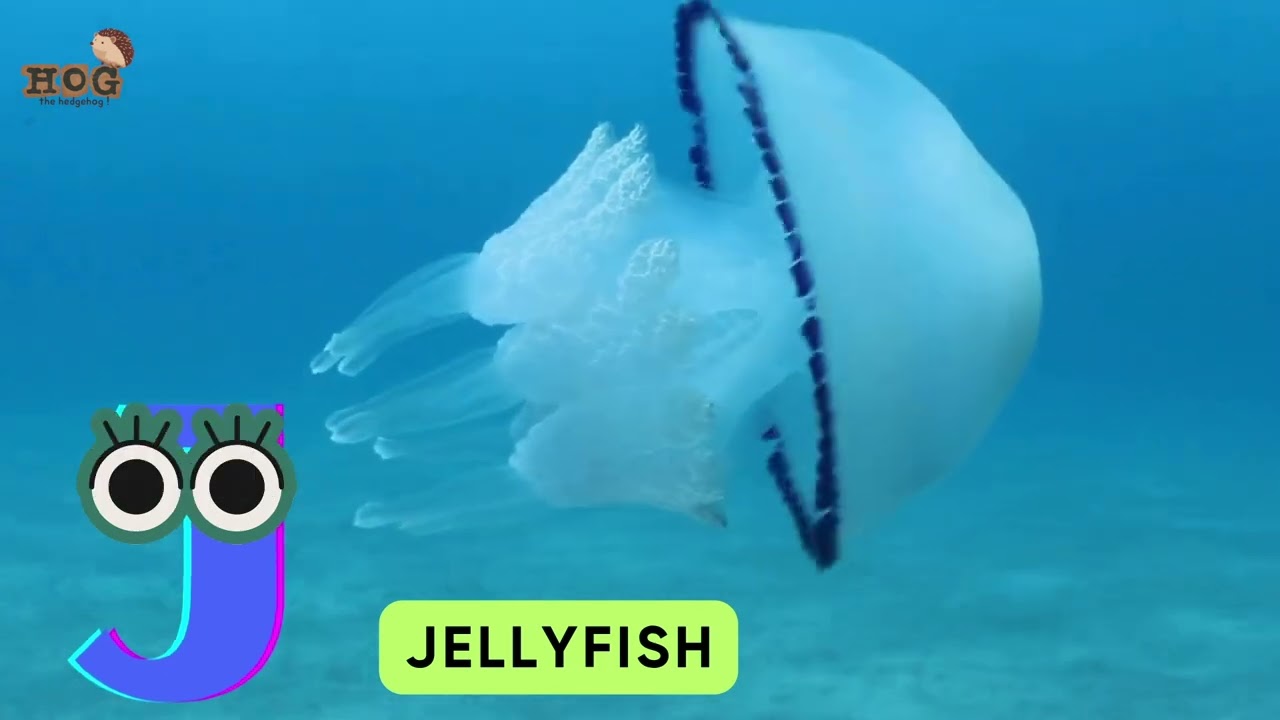 Learn Spelling with ABC Animals Song | Cute Real Animals A to Z | #kids #learning #abcd