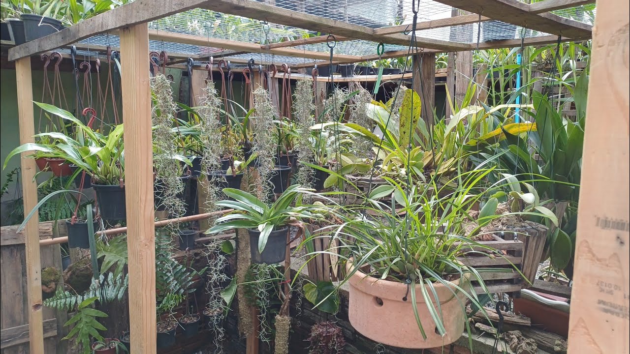 Construção  nova no orquidario.#orquidario #orquideas