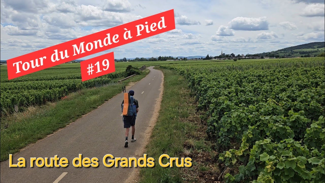 TOUR DU MONDE #19 : La Route Des Grands Crus 🍷